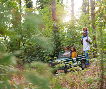 Kids Safari