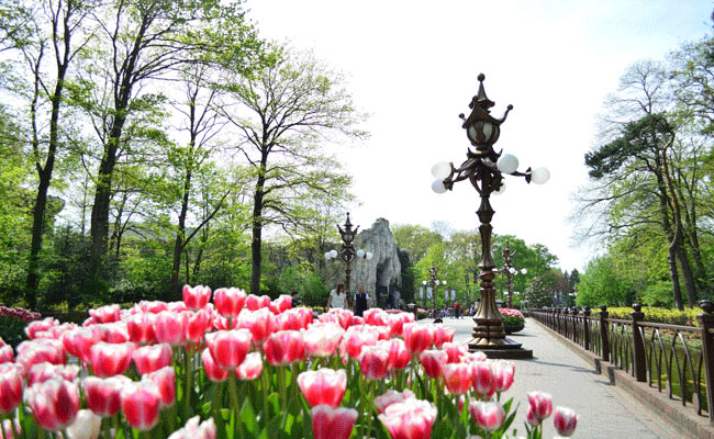 Paseo de los tulipanes en Efteling