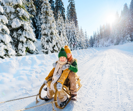 Dashing Through the Snow 2026