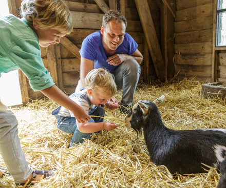 Children's Farm