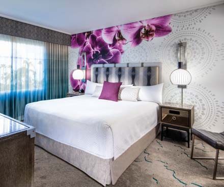 King Suite