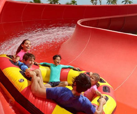 Attractions